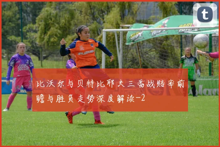 比沃尔与贝特比耶夫三番战赔率前瞻与胜负走势深度解读
