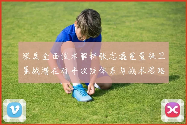 深度全面技术解析张志磊重量级卫冕战潜在对手攻防体系与战术思路